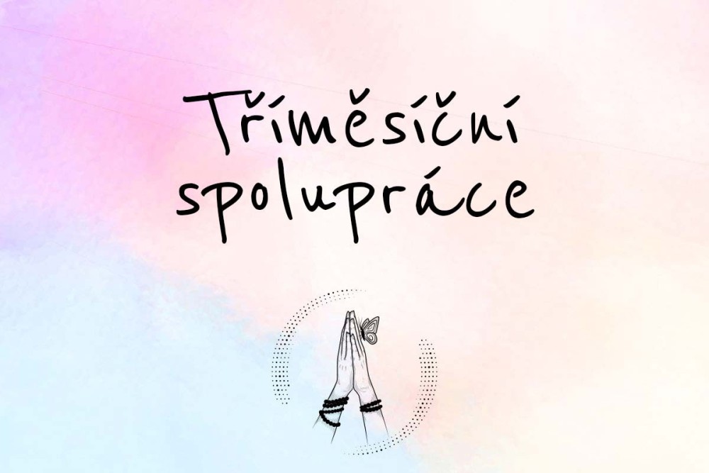 Tříměsíční spolupráce - 12 sezení