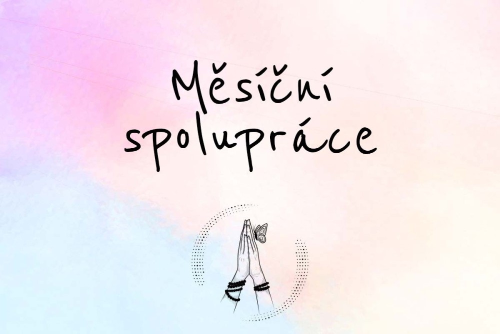 Měsíční spolupráce - 4 sezení