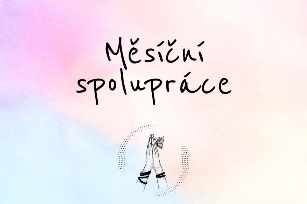 Měsíční spolupráce - 4 sezení