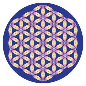 Mandala - Květ života